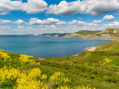 Renting in Retirement in Dorset | My Future Living