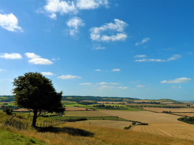 Renting in Retirement in Hertfordshire Article | My Future Living